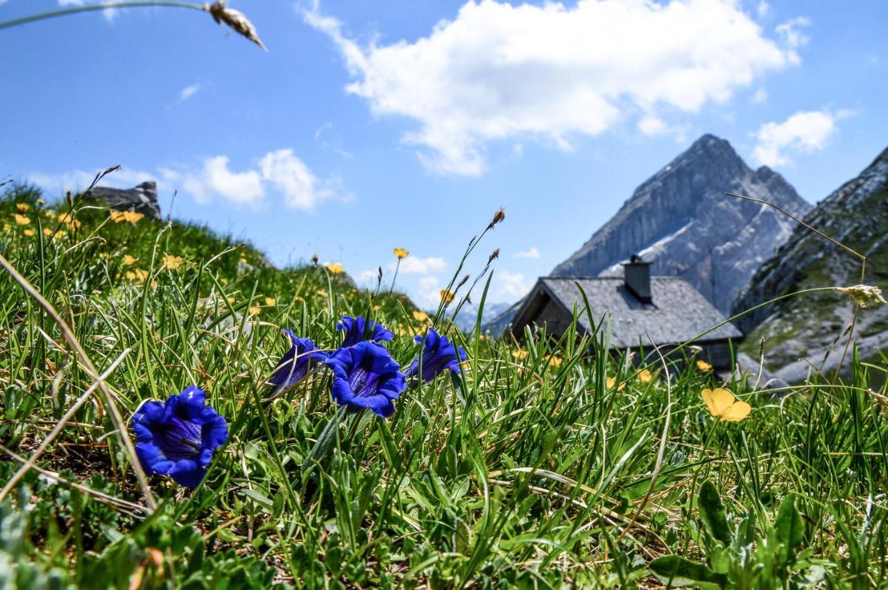 Ferienwohnung Gruenstein เชอเนา อัม เคอนิกเซ ภายนอก รูปภาพ